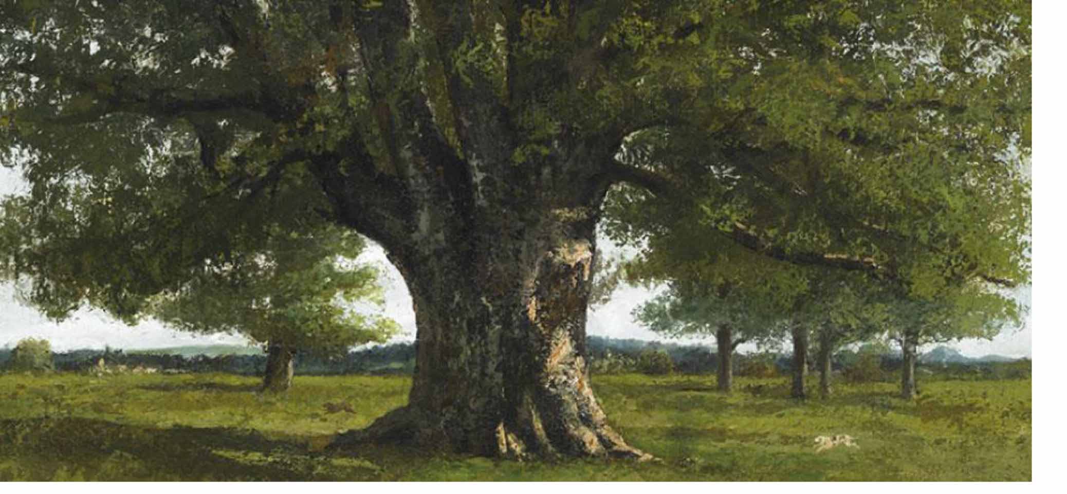 GROUNDING. UNO STATO FISICO ED EMOTIVO “PER STARE CON I PIEDI PER TERRA”